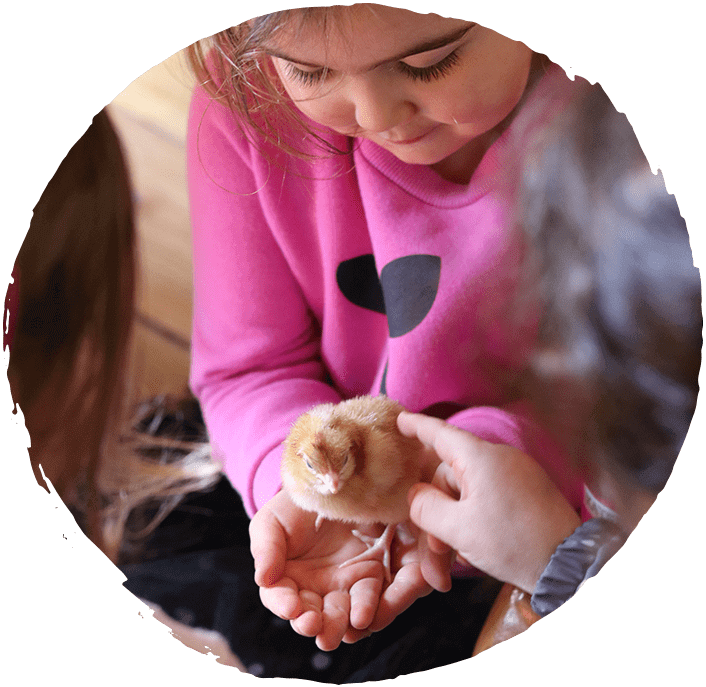 Why Choose - Community Kids Haven